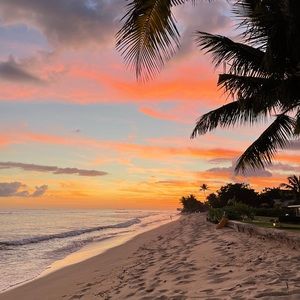 Meet your Posher, Sally